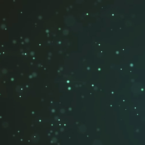 basis